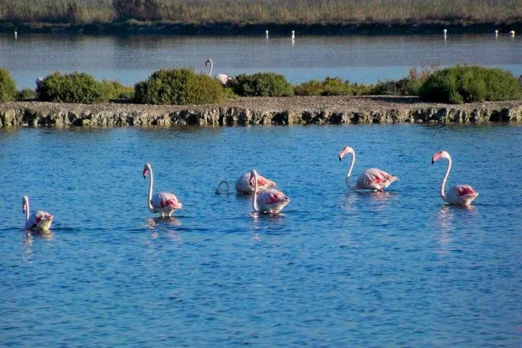 Apartamento Salamanca 38 En Santa Pola Eksteriør bilde